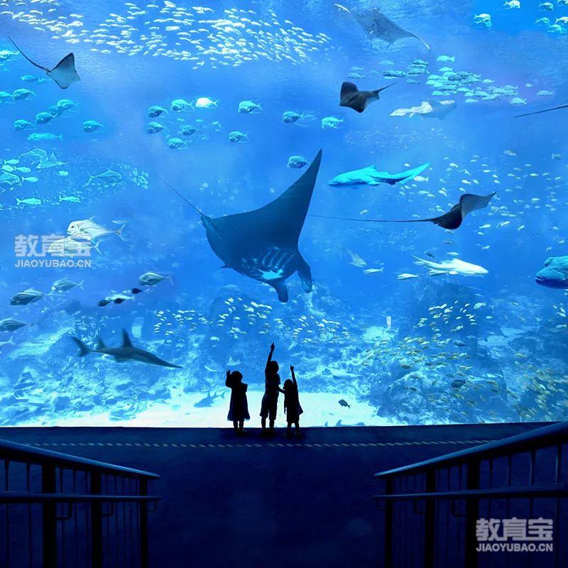 乌鲁木齐篮球训练营招生_1